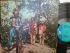 Creadence Clearwater revival - Green River (LP)